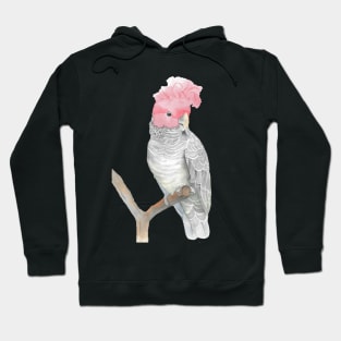 gang gang cockatoo red head cacatua watercolor Hoodie